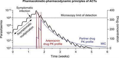 Artemisinin resistance and malaria elimination: Where are we now?